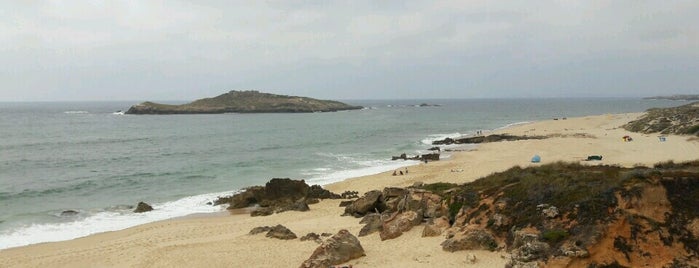 Praia da Ilha do Pessegueiro is one of Portugal Roadtrip 2017🇵🇹.