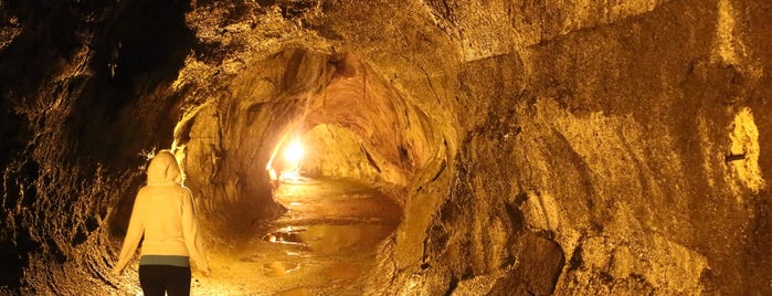 Thurston Lava Tube is one of ZEN’s City Sights 👀.