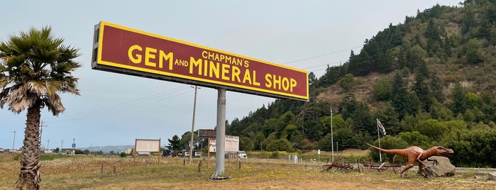Chapman's Gem & Mineral Store is one of Pnw VJ 2016.