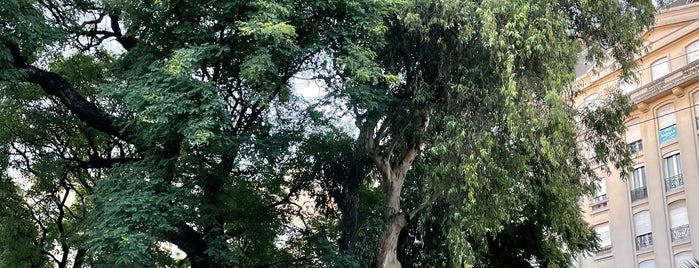 Plaza Rodríguez Peña is one of Perros.