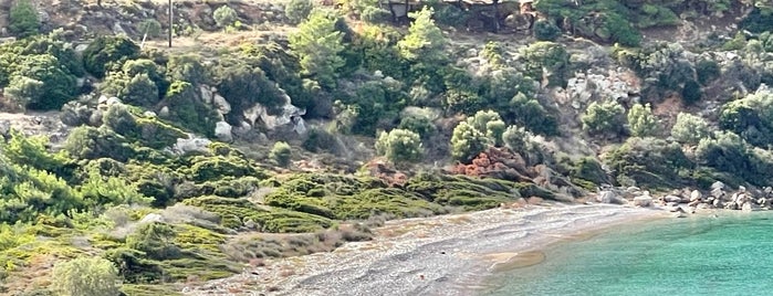 Potamoi Beach is one of Chios.