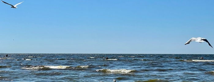 Балтийское море / Baltic Sea is one of Dubl.