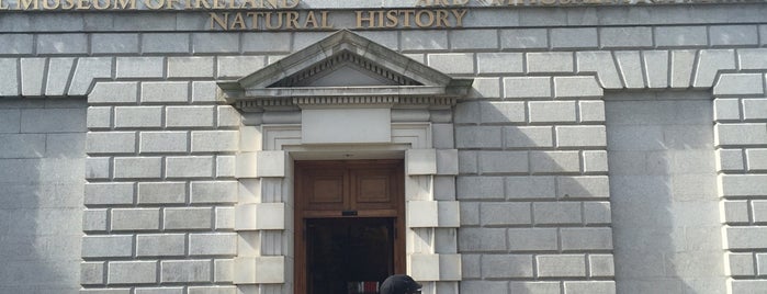 The National Museum of Ireland - Natural History is one of Ireland.