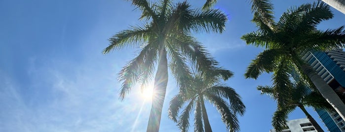 Four Seasons Pool is one of Miami.