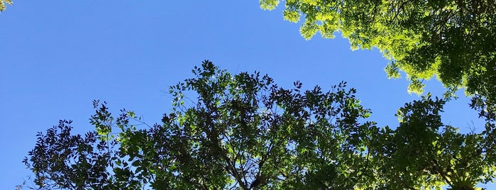 Serra da Graciosa is one of Jota'nın Beğendiği Mekanlar.