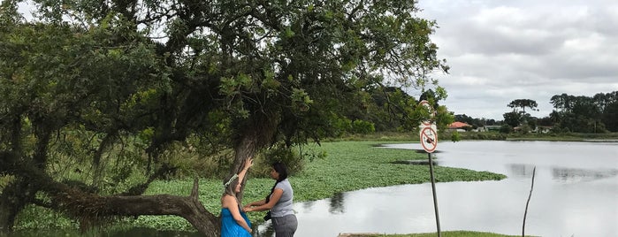 Parque Lago Azul is one of Posti che sono piaciuti a Jota.