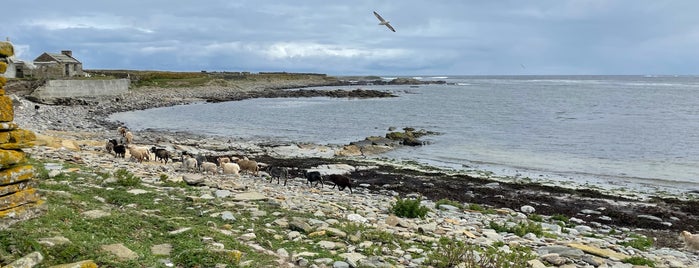 North Ronaldsay is one of ORKNEY ISLANDS - historic sites, nature & art.