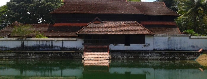 Sree Krishnapuram Palace is one of Kerala.