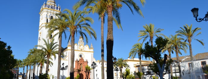 Plaza España is one of Sitios recomendables de La Palma del Condado.