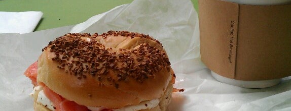 House of Bagels is one of SJSU Foodies on a Budget.