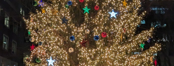Brooklyn Commons at MetroTech Center is one of BIG APPLE WISHES.