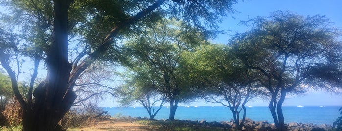 Hanakao'o Beach Park is one of Lieux qui ont plu à Priscilla.