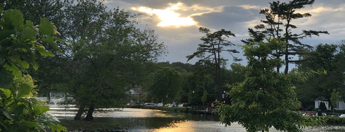 The Heckscher Museum of Art is one of Amandaさんの保存済みスポット.