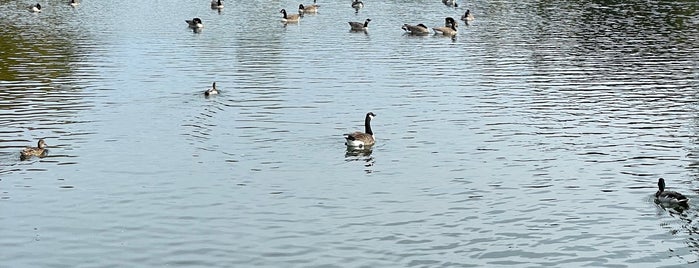 Milliken Park is one of Parks.