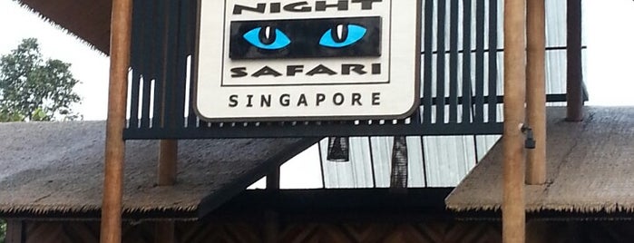 Night Safari is one of My favourite hang out places in Singapore.
