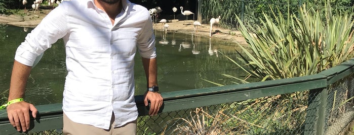 Bursa Hayvanat Bahçesi is one of MEHMET YUSUF'un Beğendiği Mekanlar.