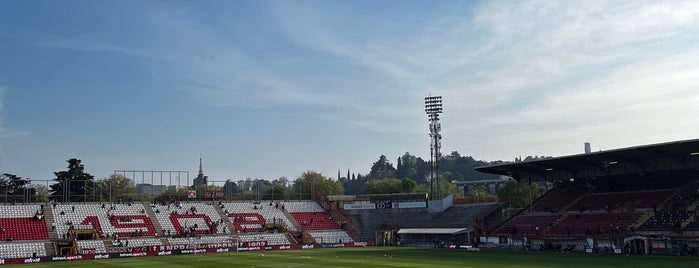 Stadio Romeo Menti is one of Stadi Serie B.