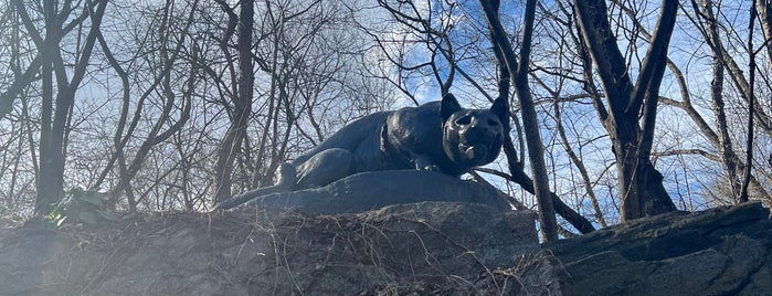 Cat Hill - Still Hunt by Edward Kemeys is one of NYC to do list.