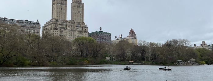 The Lake is one of Central Park.