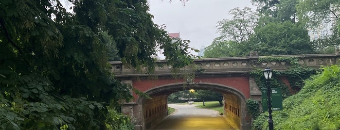 Driprock Arch Bridge is one of Alberto J Sさんのお気に入りスポット.