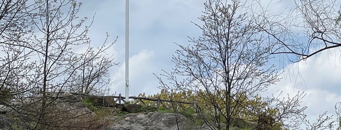 Fort Clinton is one of The 29 Sculptures of Central Park.