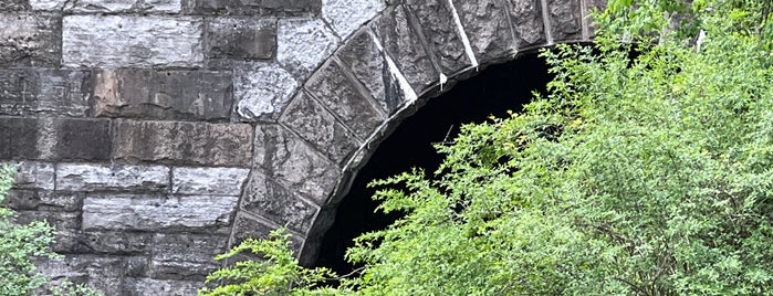 Mountcliff Arch is one of Central Park.
