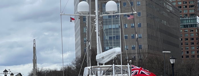 North Cove Marina is one of nyc dog parks.