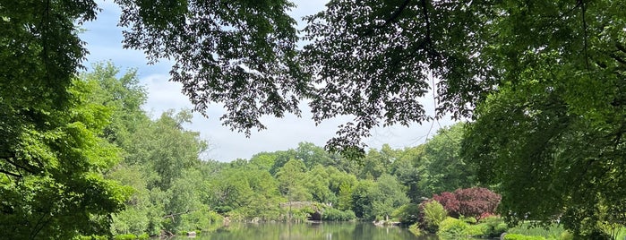 The Pond is one of Near Central Park.