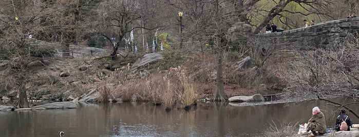 The Pond is one of Central Park.