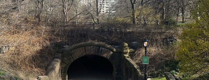 Trefoil Arch is one of Central Park.