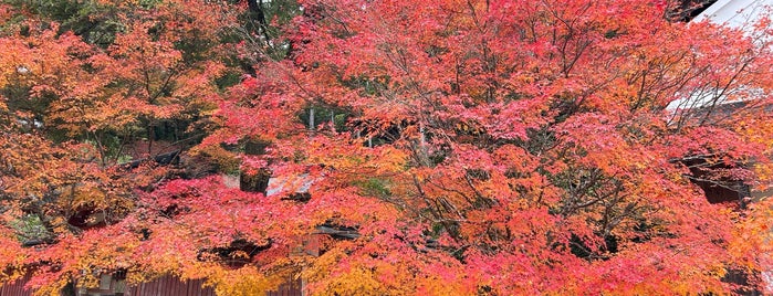 Jingo-ji Temple is one of 観光 行きたい.