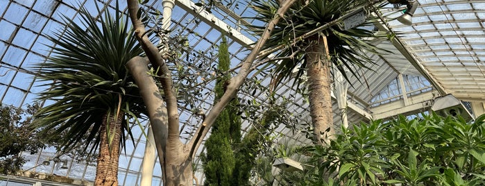 The Palmhouse is one of Schweden 2018.