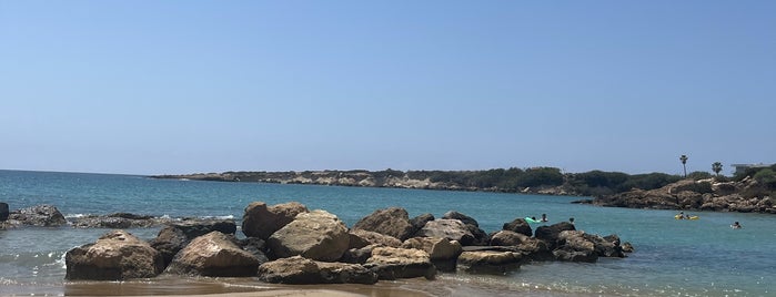 Coralia Beach is one of Paphos.