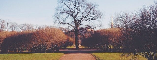 Field of Mars is one of Петроградище.