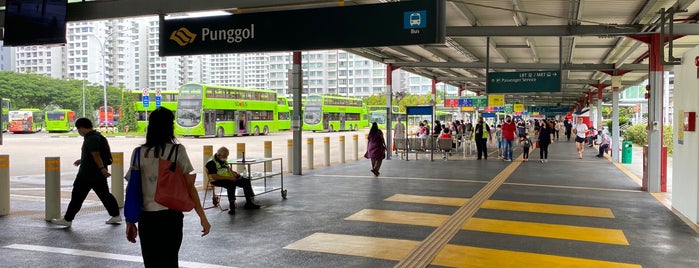 Punggol Bus Interchange is one of TPD "The Perfect Day" Bus Routes (#01).