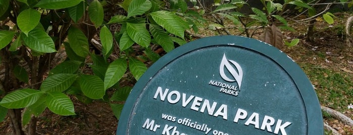 Novena Park is one of Singapore: business while travelling (part 2).