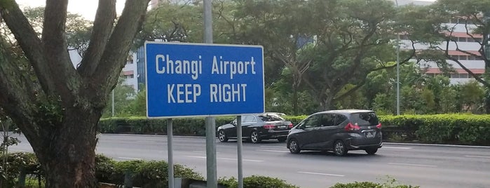 Pan Island Expressway (PIE) is one of Singapore #4 🌴.