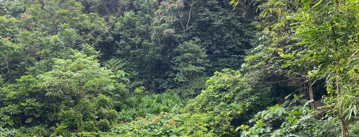 Dairy Farm Nature Park is one of Christine'nin Beğendiği Mekanlar.