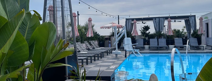 Canopy Club is one of Rooftop bars.