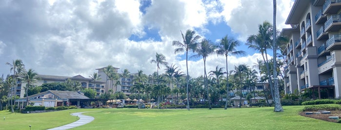 The Ritz-Carlton Beach is one of Maui.