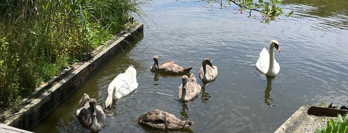 Bayard Cutting Arboretum is one of LI Sights.