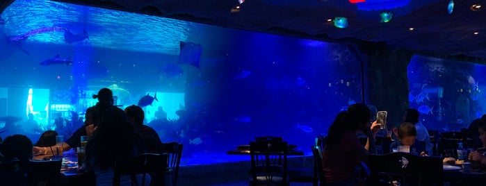 Aquarium Restaurant is one of สถานที่ที่ Katharine ถูกใจ.