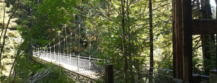 Drift Creek Falls Suspension Bridge is one of Orte, die Star gefallen.