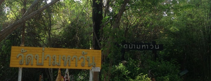 วัดป่ามหาวัน is one of Tempat yang Disukai Yodpha.