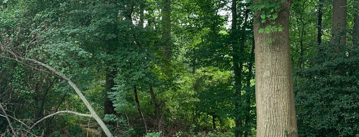 Sawmill Creek Park is one of Photo Spots.