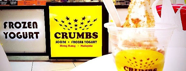 CRUMBS • soone • frozen yogurt is one of Ice cream.