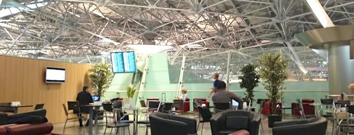 "Aeroservice" Business Lounge is one of Vnukovo airport locations.