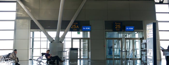 Выход / Gate 25/25A is one of Vnukovo airport locations.