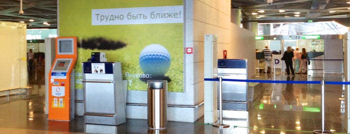 Passport control is one of Vnukovo airport locations.