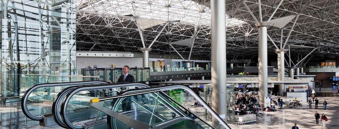 Check-in Area is one of Vnukovo airport locations.